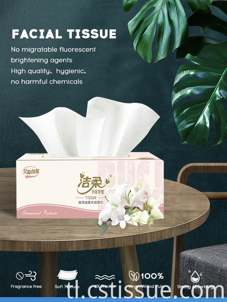 2 Ply Box Facial Tissue